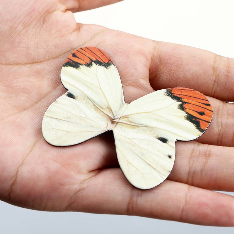 Набор цельнометаллических пере – обзор и цена Binder Clip Assorted
