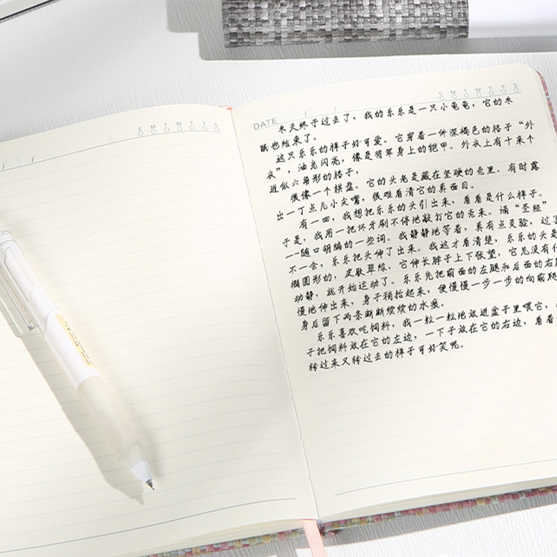 Блокнот А5 с имитацией льняной – обзор и цена Notebook Dotted A5