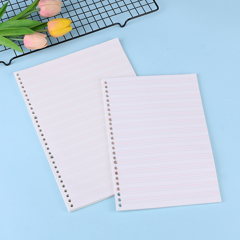 Блокнот формата А4/А5/B5, ежед – обзор и цена Notebook Dotted A5